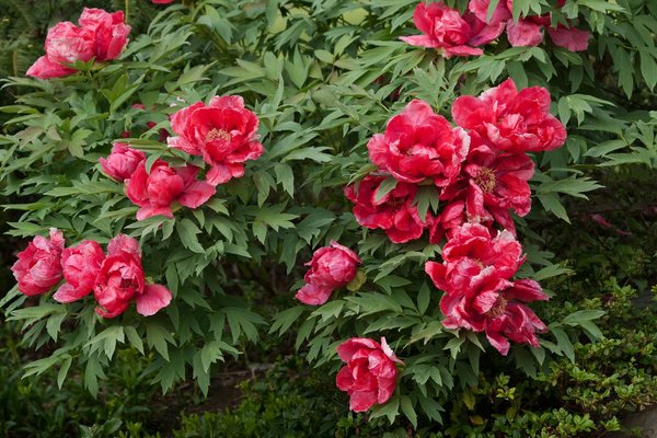 Vivre à l'année dans un chalet: témoignages et conseils